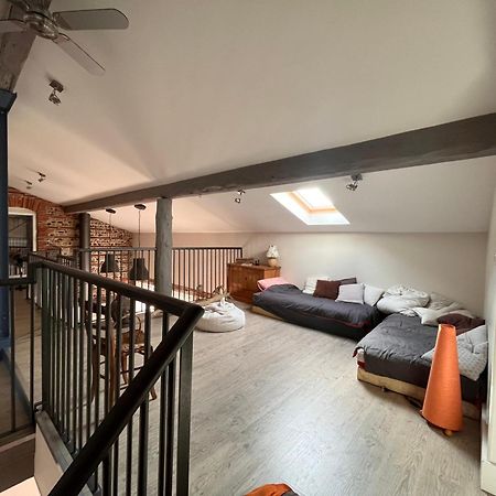 Magnifique Maison Toulousaine Toulouse Ngoại thất bức ảnh