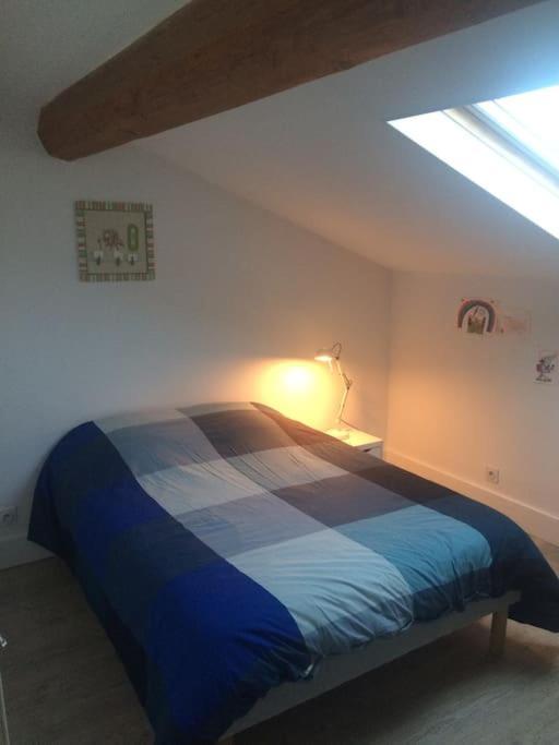 Magnifique Maison Toulousaine Toulouse Ngoại thất bức ảnh